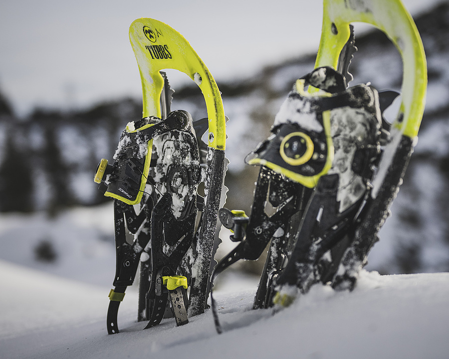 Gelb-schwarze Schneeschuhe stecken im frischen Schnee