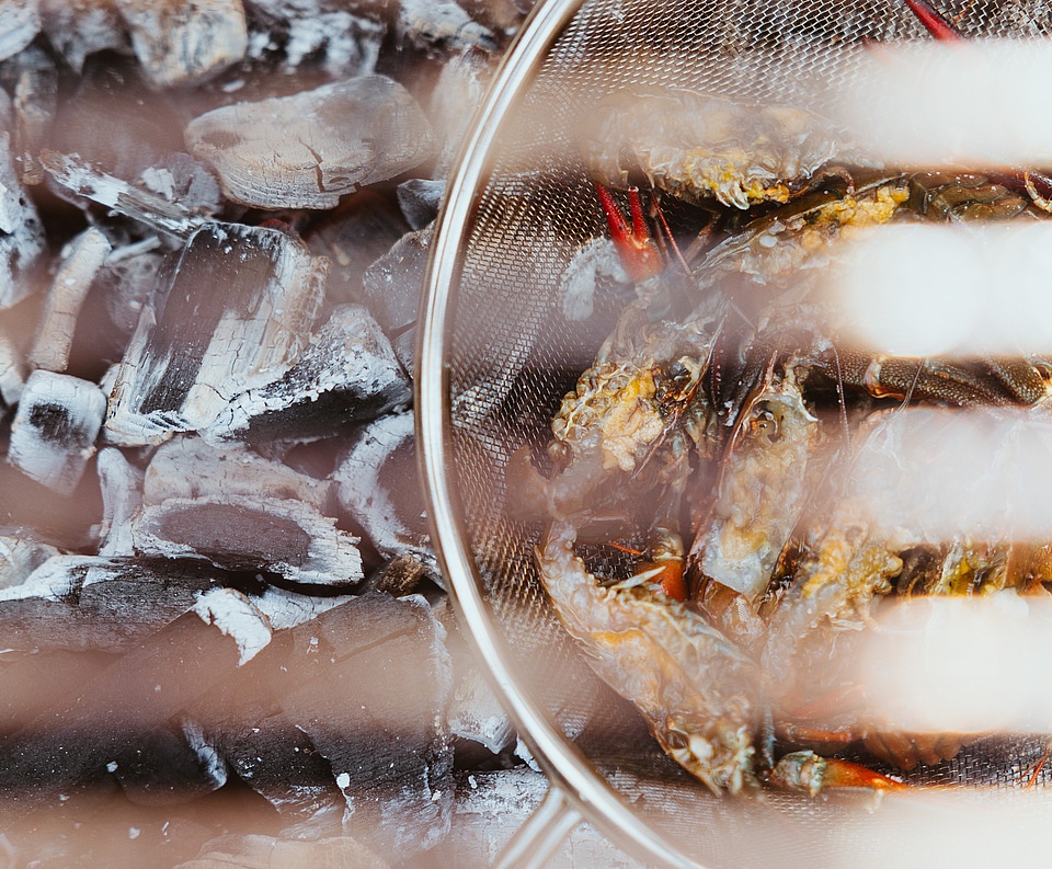 Nahaufnahme eines Holzkohlegrills mit glühender Kohle und einer Auswahl an Krebsen, Scampi und kleinen Fischen