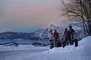 Sledging with a view of the Traunsee