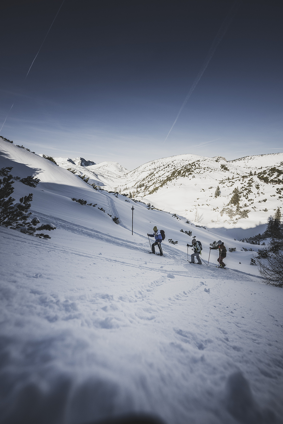 Drei wandernde Personen mit Schneeschuhen in der Winterlandschaft des Feuerkogels, umgeben von schneebedeckten Bäumen und klarem Himmel.