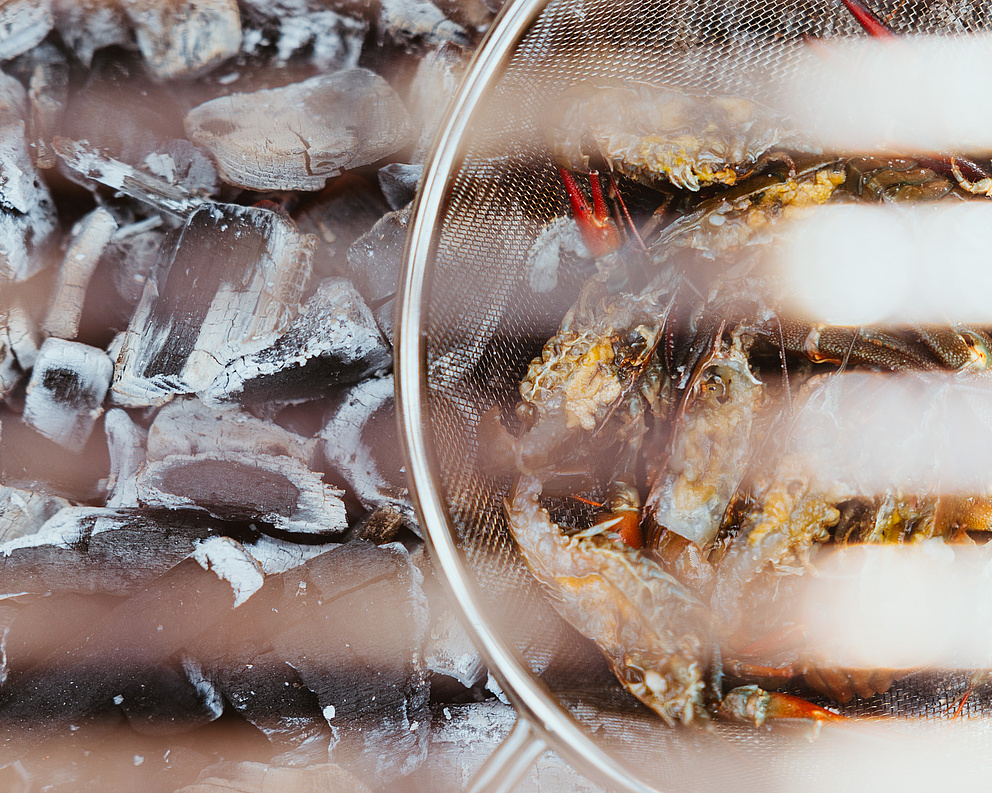 Nahaufnahme eines Holzkohlegrills mit glühender Kohle und einer Auswahl an Krebsen, Scampi und kleinen Fischen
