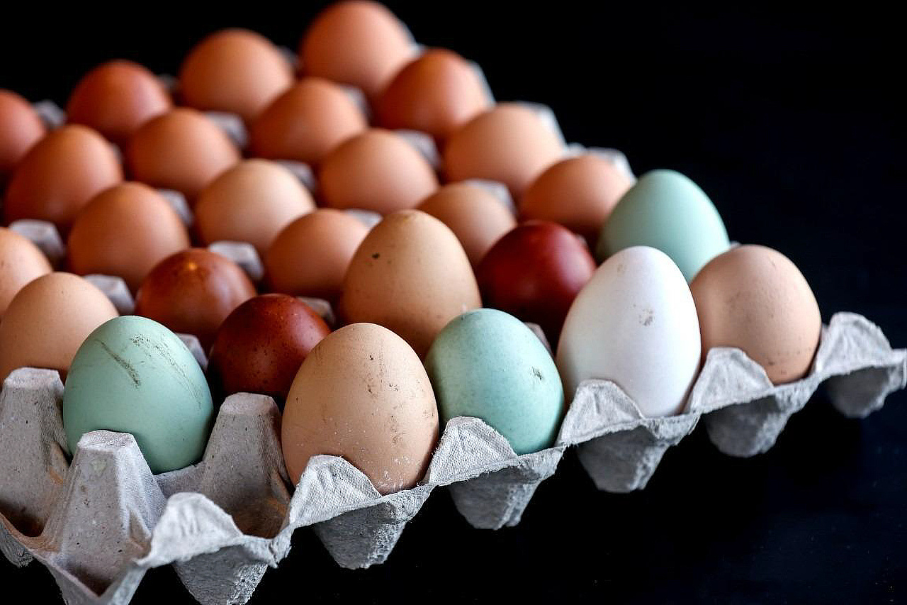 Bunte Vielfalt - kein Ei gleicht dem anderen. | Bild: Volker Weihbold